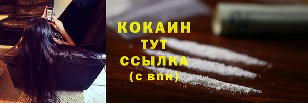 гидра Алапаевск