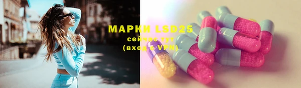 мдпв Новодвинск