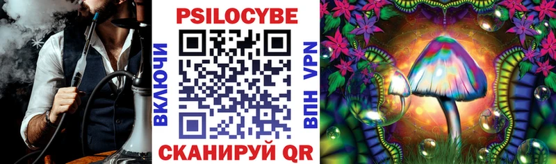 Псилоцибиновые грибы мицелий  Саратов 